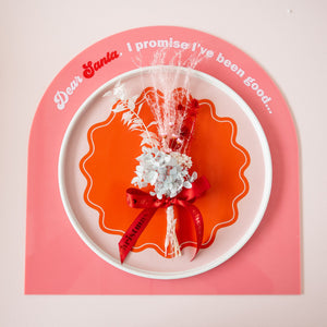 
                  
                    Load image into Gallery viewer, christmas-plate-santa-plate
                  
                