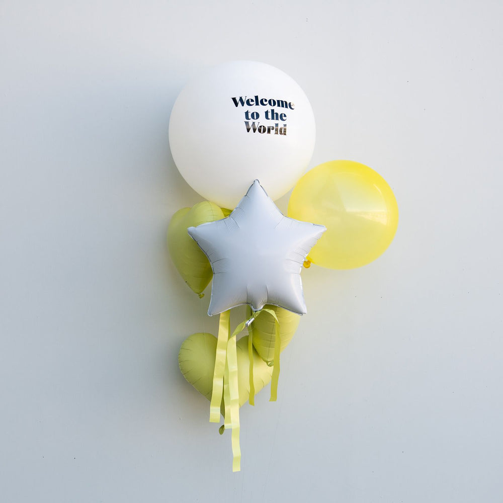 
                  
                    Load image into Gallery viewer, Welcome to the World Balloon Bouquet Kit
                  
                