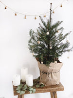 9 Christmas Decoration Ideas