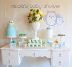 Owl Themed Baby Shower