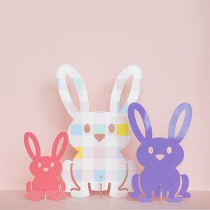 
                  
                    Load image into Gallery viewer, Stand Up Acrylic Bunny Set
                  
                