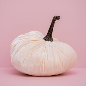 
                  
                    Load image into Gallery viewer, Cream Silk Velvet Pumpkin
                  
                
