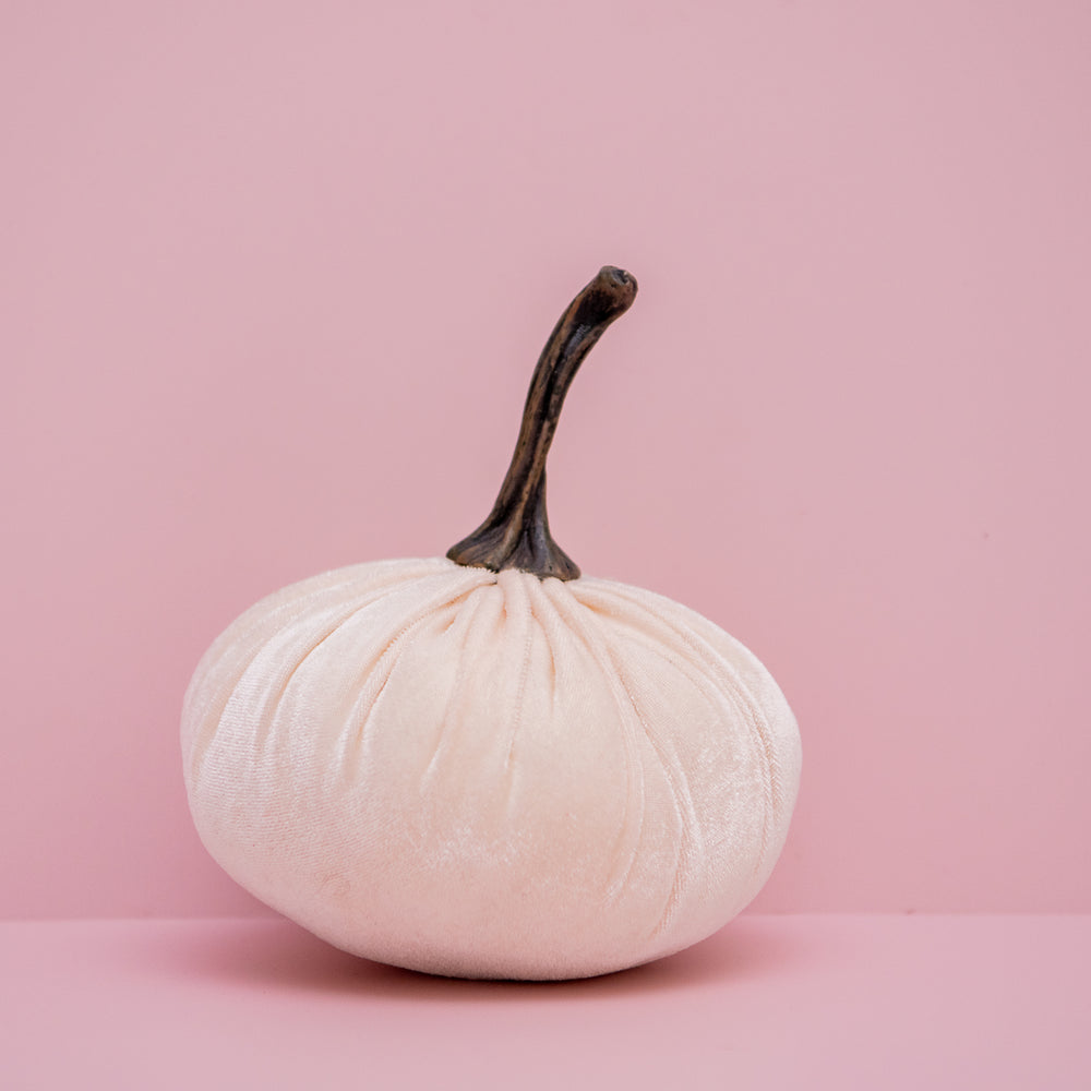 
                  
                    Load image into Gallery viewer, Cream Silk Velvet Pumpkin
                  
                